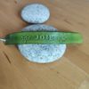 Bracelet cuir JOIE vert, motif libellule, longueur 19 cm