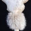 Loup, Peau de Bouc, Peau de Lapin – Image 2